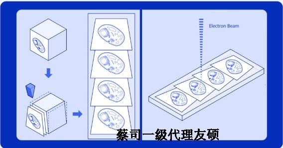 通化蔡司通化扫描电镜