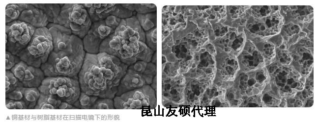 通化蔡司通化扫描电镜