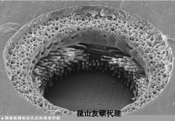 通化蔡司通化扫描电镜